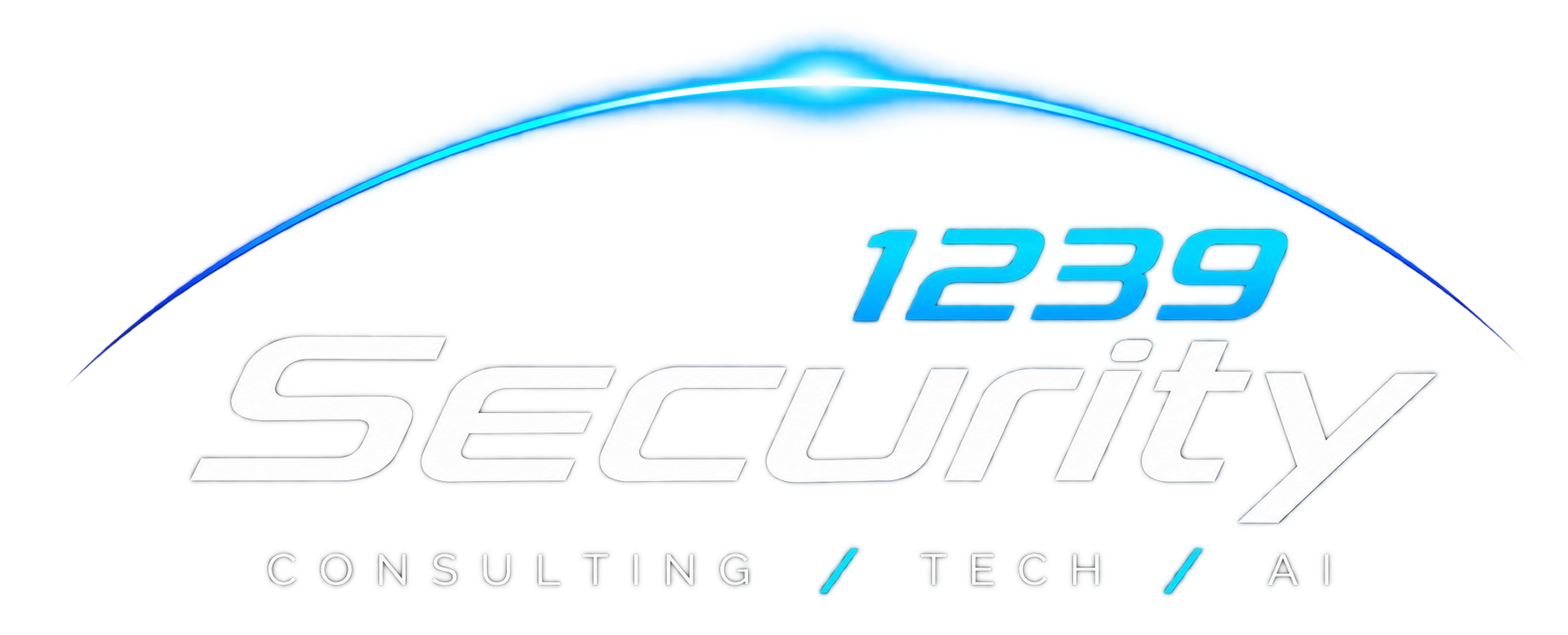 1239 Security